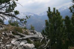 2011-04-24_Regina-F-Rau_Brunnstein-Spitze (074).JPG